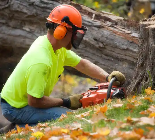 tree services Lydia